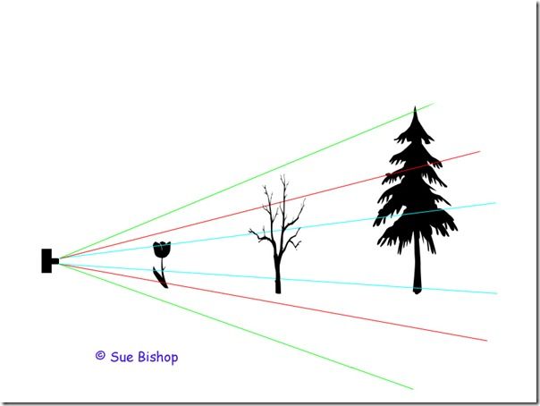 lens field of view