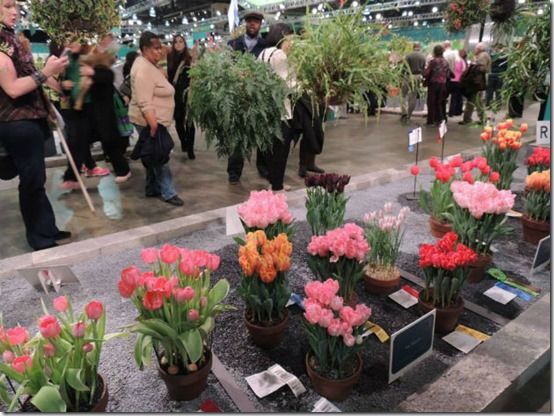 The Philadelphia Flower Show