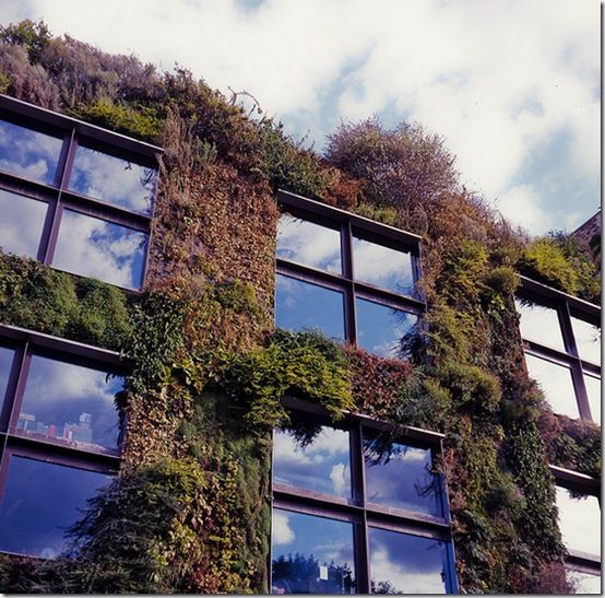 Vertical Gardens