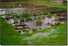 gardenflood-300x200