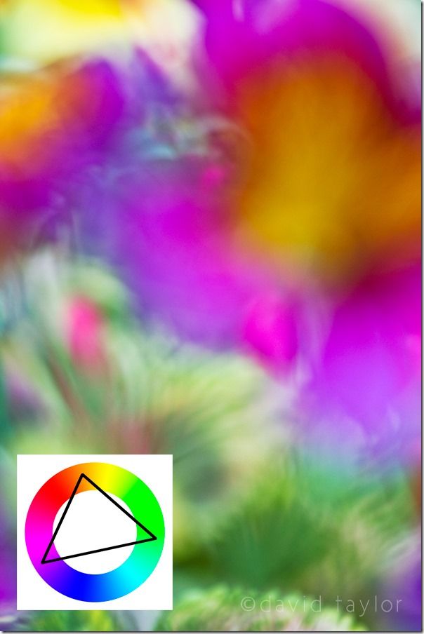 colourwheel, Color, Colour, wheel, theory, Photography, colourwheel color theory, color photography, Colour photography, complimentary color, Colour Harmonies, Color Harmonies, 