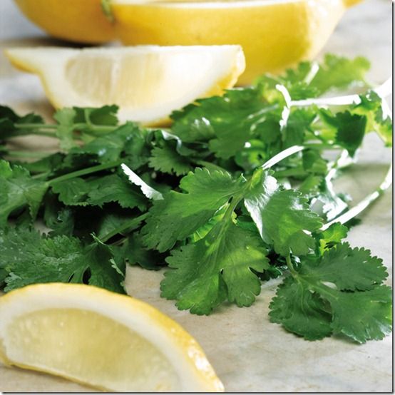 165079_Herbs_Lemon_Coriander_exp