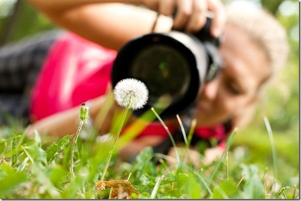 blurred, camera, Camera Shake, chimp, Chimping, correctly, grip, hold, holding, How to, long lens, Minimise, Orientaition, out of fucus, tips, Tripod landscape, portrait, 