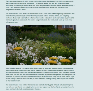 Zinnia Design Blog_Charlie Ryrie 130215 1