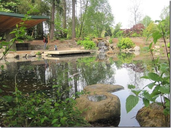 koi-pond-landscaping