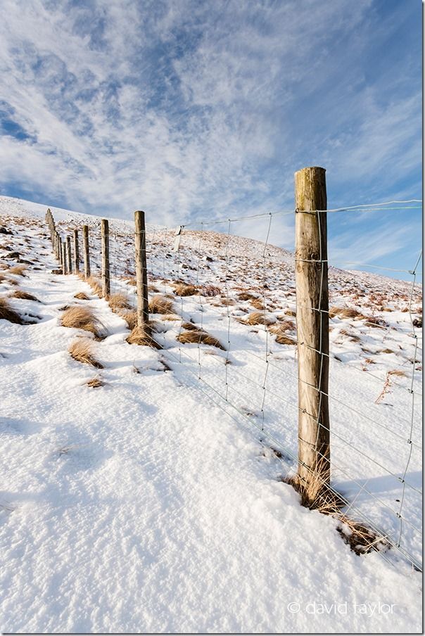 Posts and wire fence running up the Holmwath in the Tees Valley near the route of the Pennine Way, Teesdale, County Durham, England