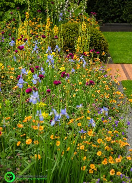 Homebase Garden Chelsea Flower Show 2015 (7)