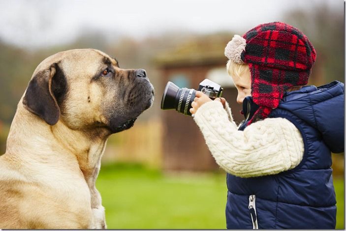 Little photographer