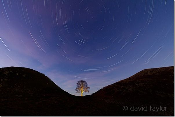 The sycamore of Sycamore Gap silhouetted against a star-filled winter's sky, Northumberland, England, Painting with Light, Flash. Long exposure, torch, How to use a torch in your photography, flasggun, camera flash, LEDs, ambient light,