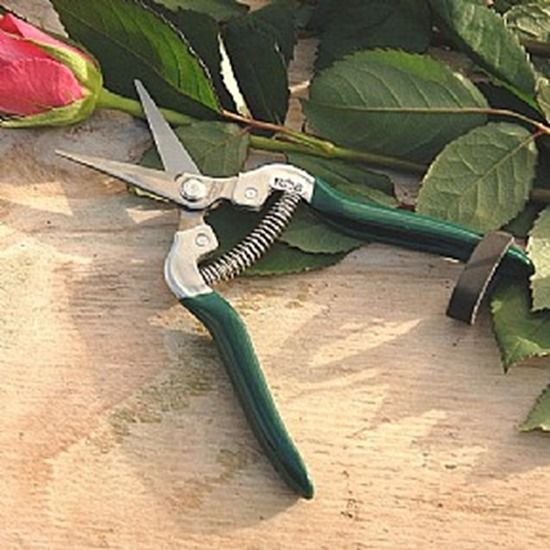 7 Flower snips