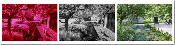 Garden. Oxfordshire England