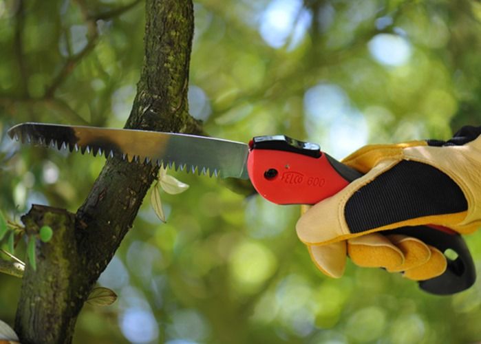 7 Pruning Saw