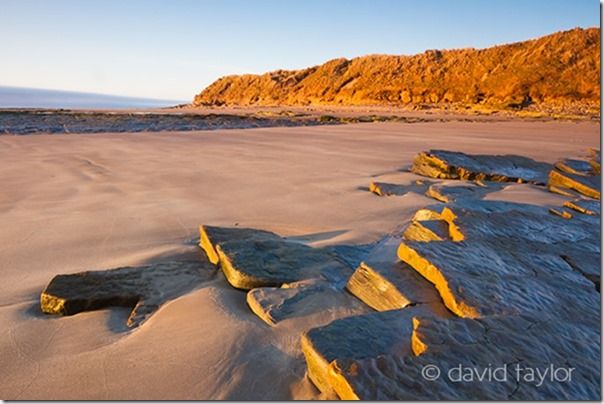 Early-morning light hitting the sandstone rocks that erupt from the sands of Low Hauxley on the Northumberland coast, England