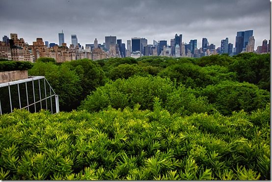 MOMA Roof Garden New York