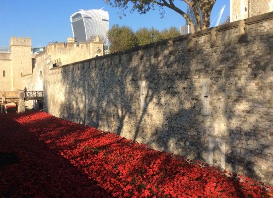 5 Poppies beneath the ancient walls