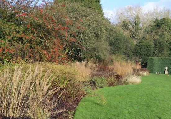 Berries and grasses in the late fall border