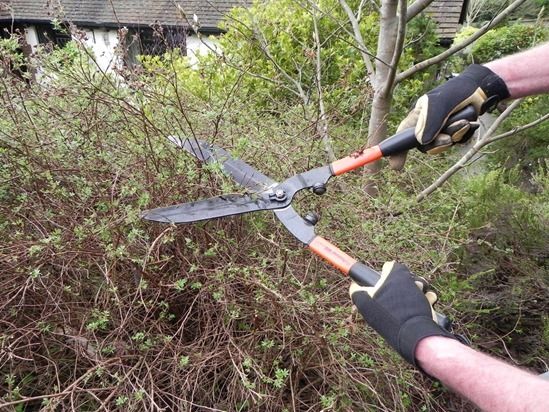 Hedge store trimmer scissors