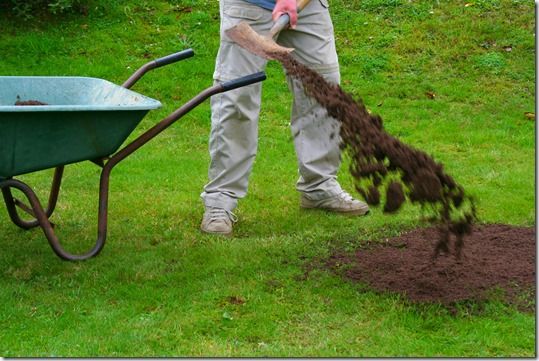 airating a lawn, airation, Autumn, Autumn Lawn Care, carbaryl, Corticium, Dollar spot, Fall lawn care, firtilizer, Fusarium, grass seed, Imidacloprid, lawn Pests and diseases, Leatherjackets, leaves, Mowing, re-seed, Spiking the lawn, Toadstools, trifloxystrobin