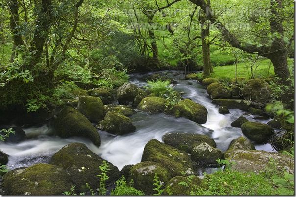 A moorland river pours over rocks, passing through oak woodland, nr Haytor, Dartmoor National Park, Devon, Great Britain., How to Publish a Photography Calendar, How to publish a calendar, Printing, selling, photography, landscape
