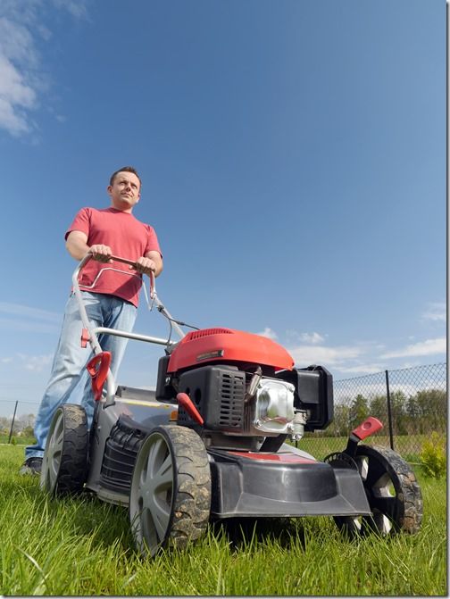 10 Tips When Buying a Lawn Mower