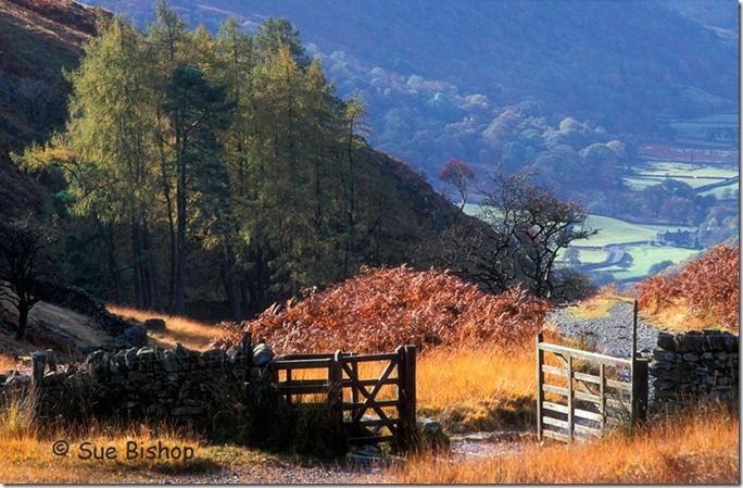 lake district gate open