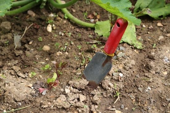 5 Trowel left in the ground