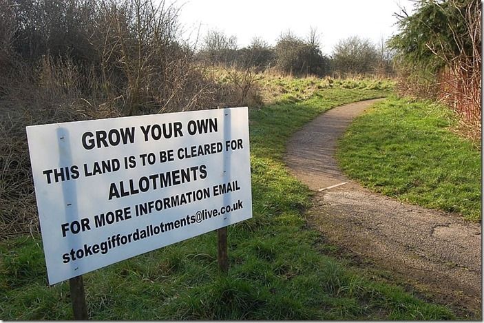 4 Site for new allotments