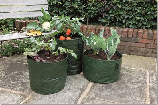 09138 Vegetable planter pack (3) in situ
