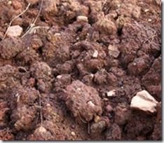 Soil, soil preparation, Soil improvement, How to Improve Difficult Soils, Clay Soils, Sandy Soils, Chalk Soils, Drainage, Soil Drainage,