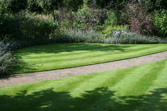 Nice lawn with stripes