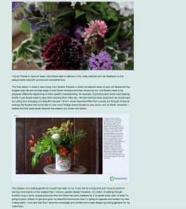 Zinnia Design Blog_Charlie Ryrie 130215 2