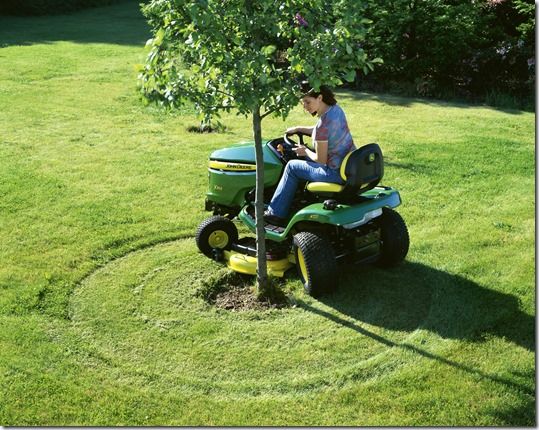 Lawn care, Spring Lawn Care,  Summer lawn care, How to Mow, How to mow your lawn, how to cut your lawn, lawn  fertilizer, lawn weed killer, sword, 