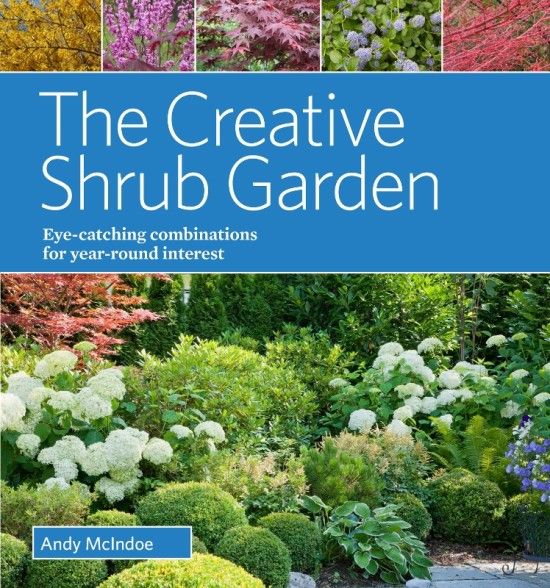 12 The Creative Shrub Garden