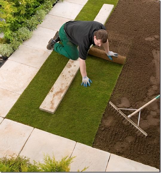 turf being laid, Grass, how to lay sod, how to lay turf, instant lawn, Lawn, Sod, Turf