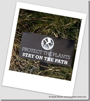 Protect the plants
