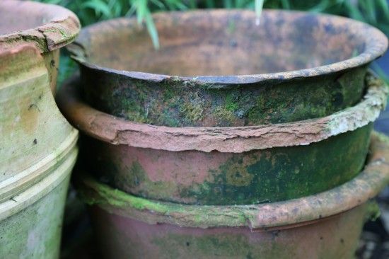 Damaged terracotta pots