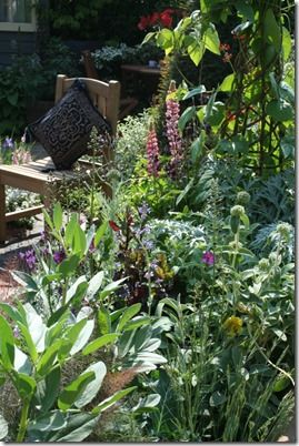 Veg and flower border