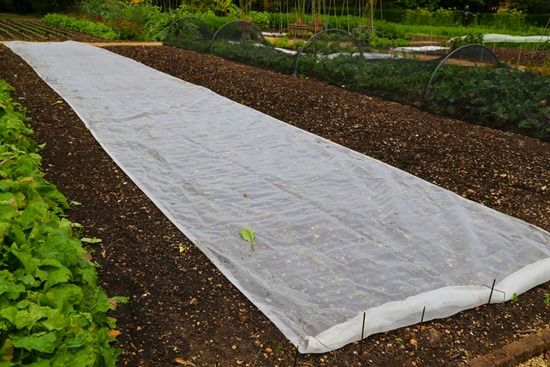 Heavy Duty Thick Fleece - Plant Protection - Garden Health