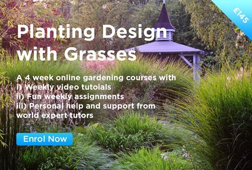 Planting Design with Grasses