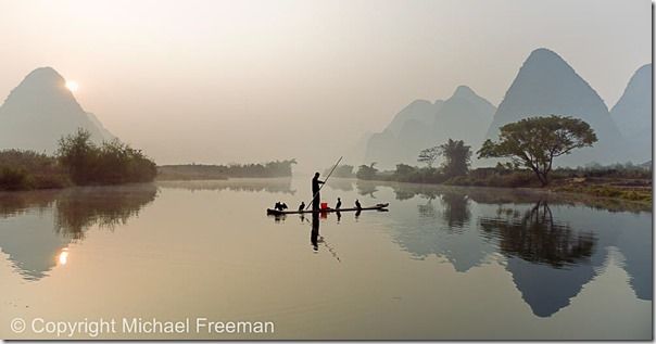 Cormorant fishing