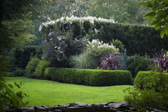 Beautiful Garden