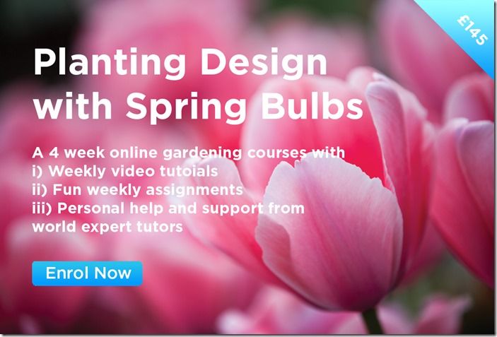 Planting Design with Spring Bulbs