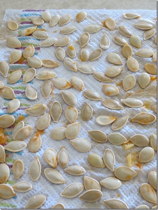 8 Drying pumpkin seeds 