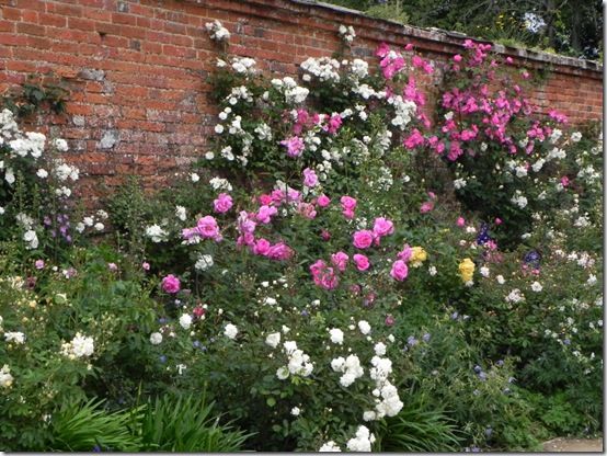 Gardens to visit in Hampshire:  Mottisfont