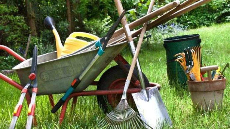 6 Essential Garden Tools - Gardening