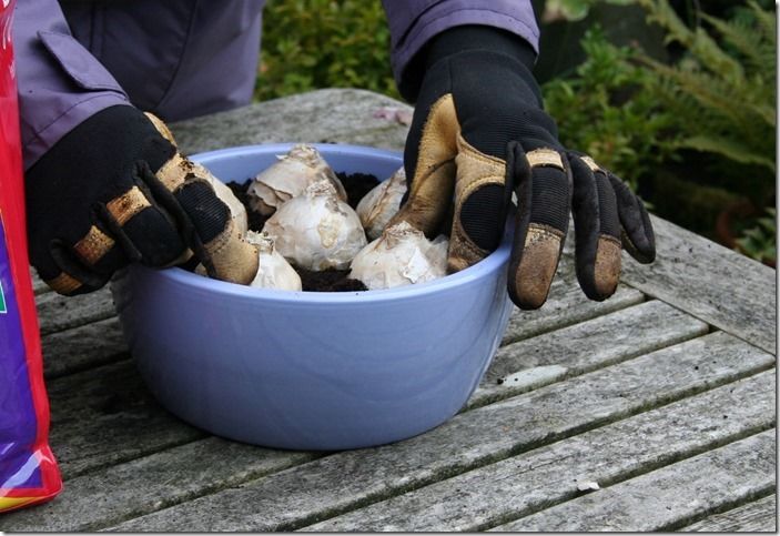 5 Using leather gloves (1280x877)