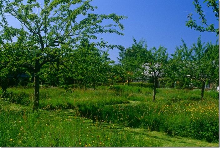 8 Mown pathways through meadow,