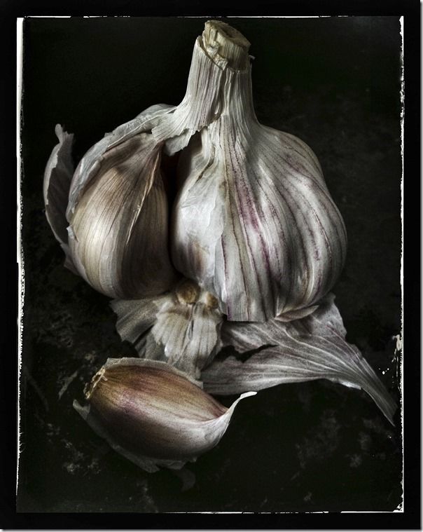 lisa_barber_garlic copy