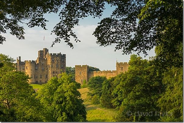 Alnwick Castle framed by trees on a summer's morning, Northumberland, England. The earliest parts of the castle date from the 11th century, though much has been added on over the intervening years