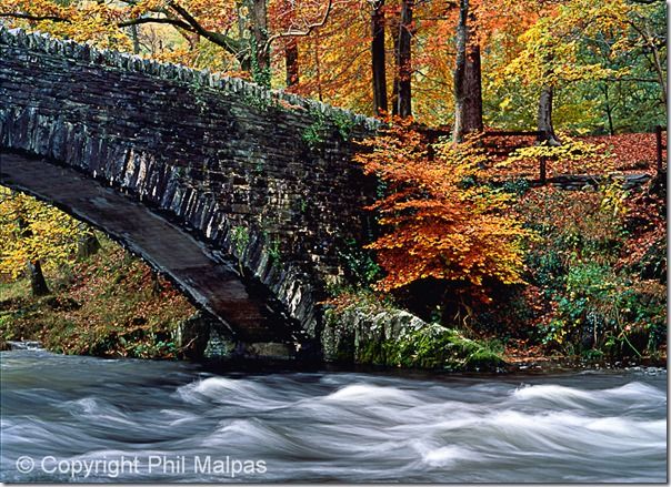 Scene mode, In-Camera, techniques, Picture modes, In-camera HDR, converging verticals, Image stabilisation, Online, Photography, Class, Course, Courses.